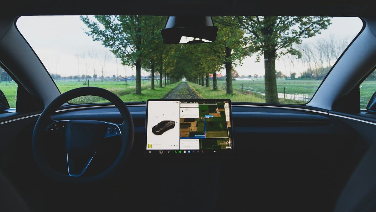 What FSD Reveals About Optimus