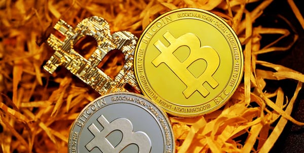 Why Your Bitcoin Is Worth More Than Elon Musk’s