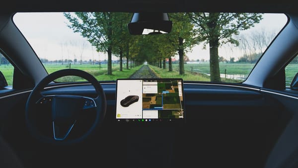 What FSD Reveals About Optimus